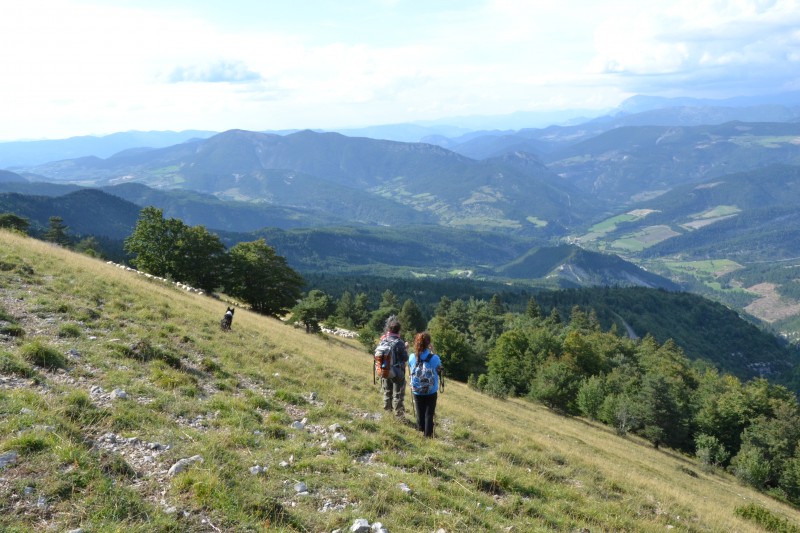 Alpage de Valdrôme